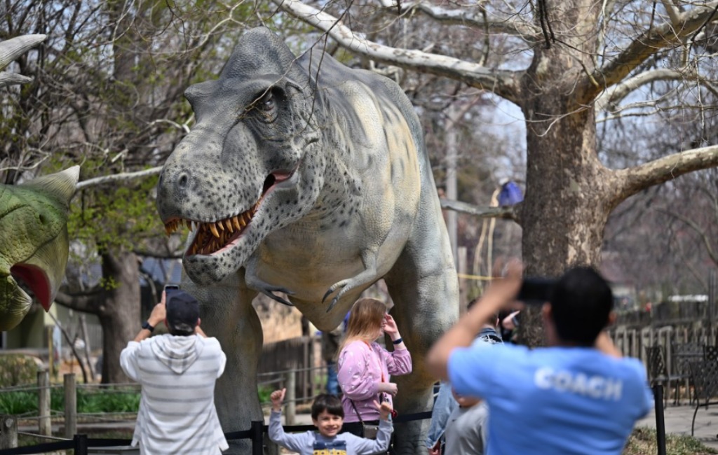 taking pictures at dino don exhibition