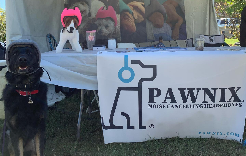 pawnix stand