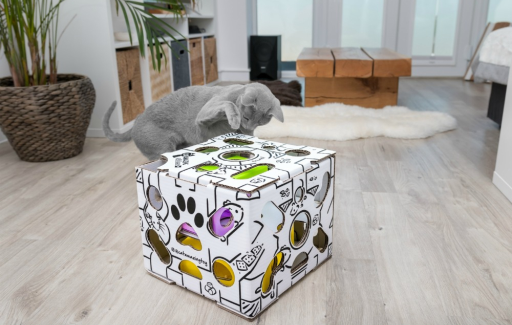 cat playing with box