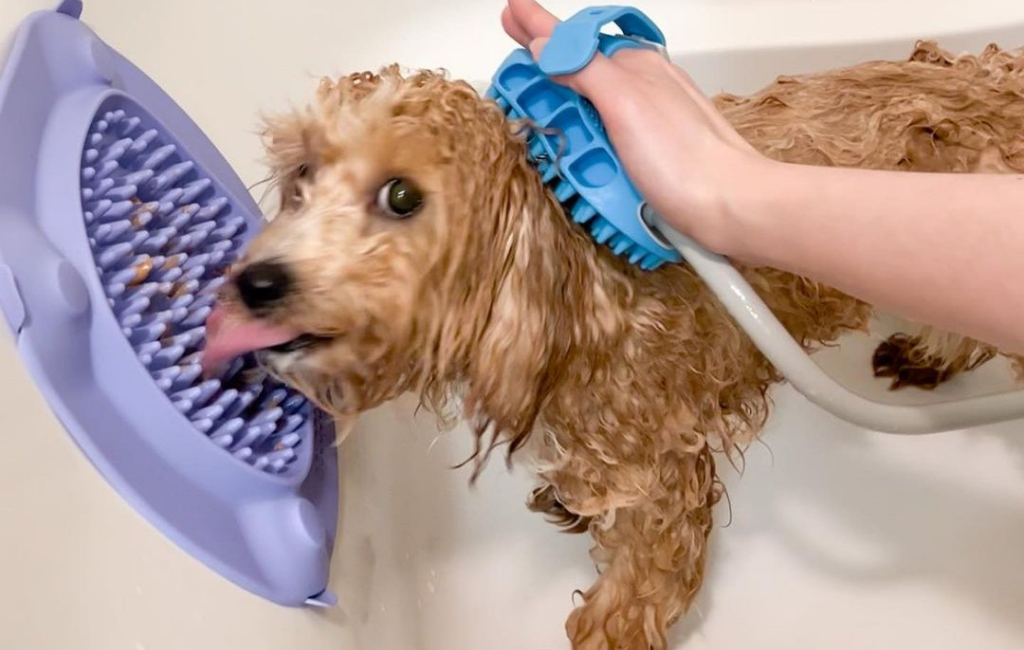 bathing dog