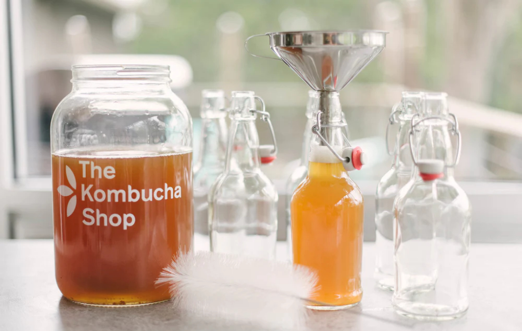 kombucha kit