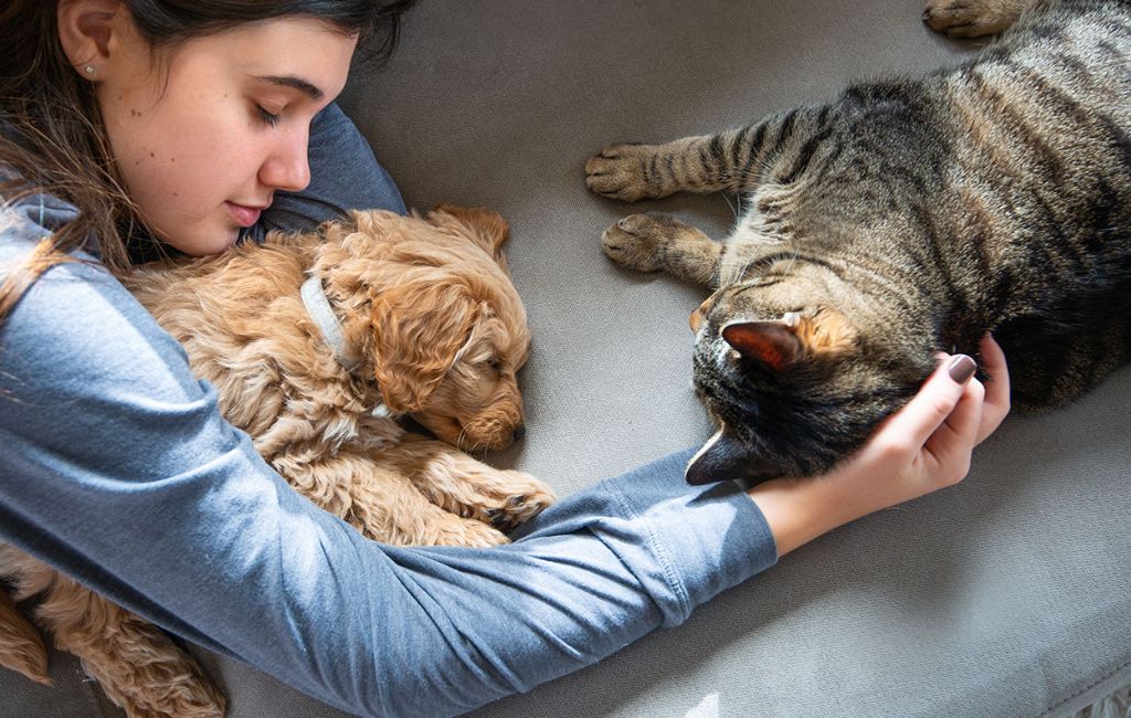 girl-holding-puppy-cat-gallant