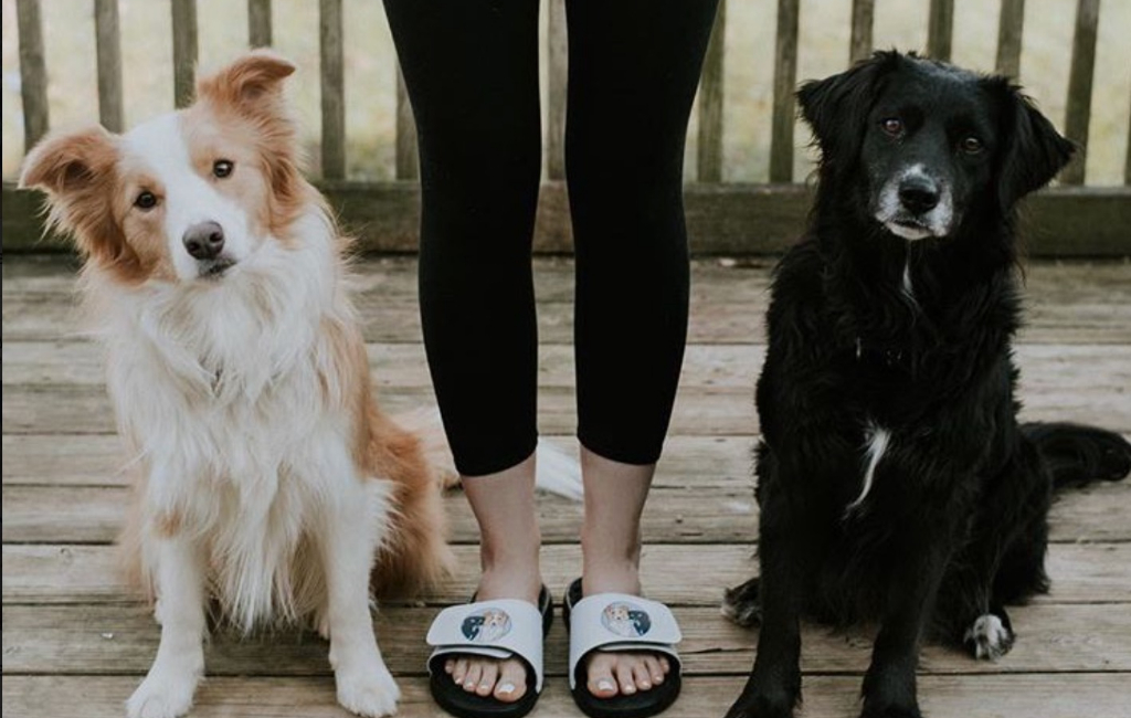 dogs and custom made sandals