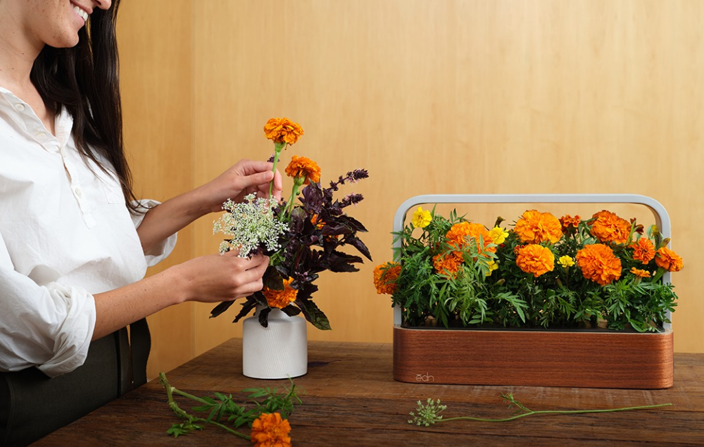 small-garden-flowers