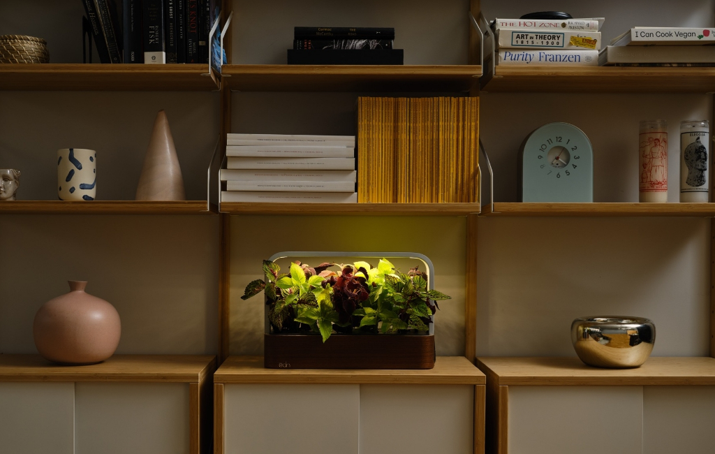 indoor garden shelf