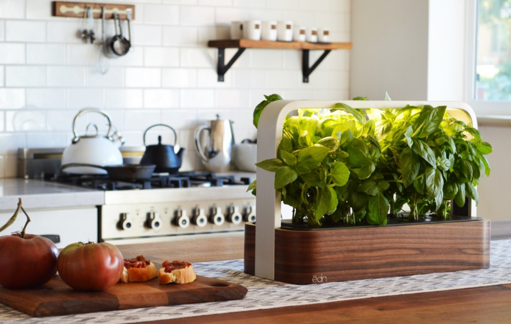 kitchen-basil-tomatoes