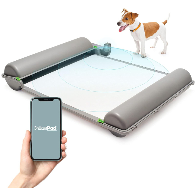 brilliantpad-self-cleaning-dog-potty