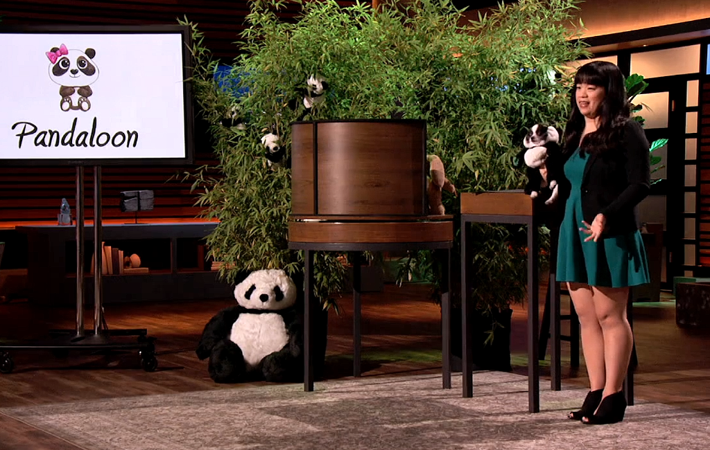 founder-of-pandaloon-pitching-on-shark-tank