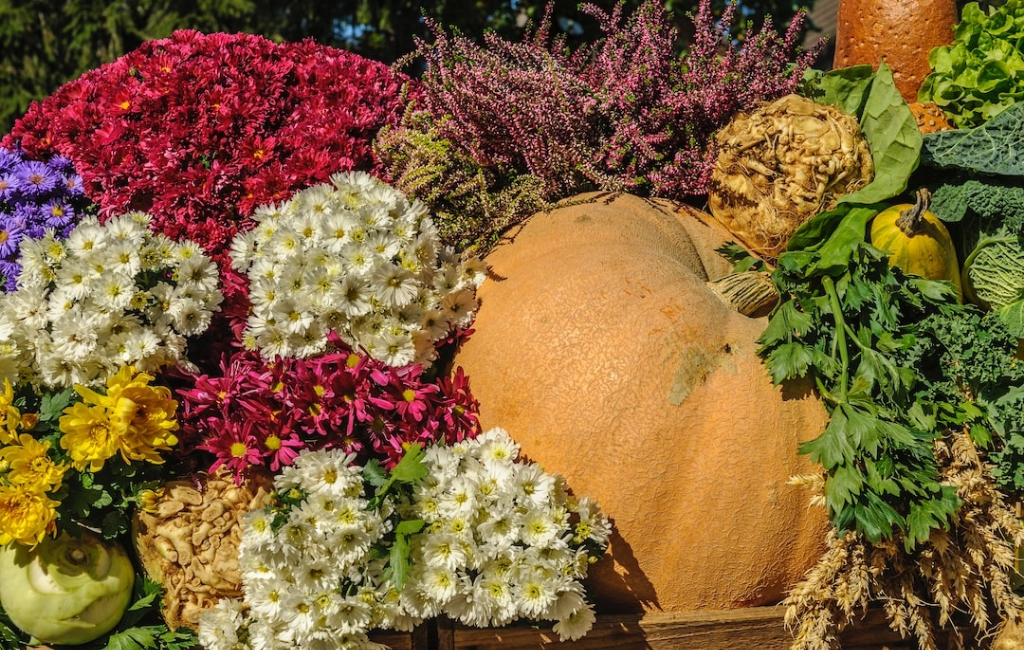 flowers-spices-pumpkin