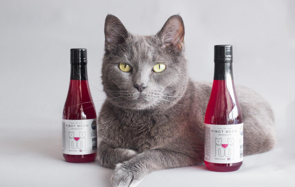 pinot meow-cat