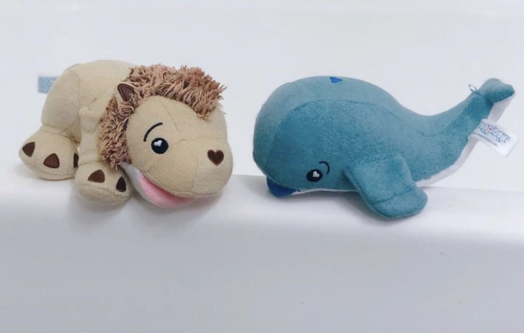 lion-whale-sponges