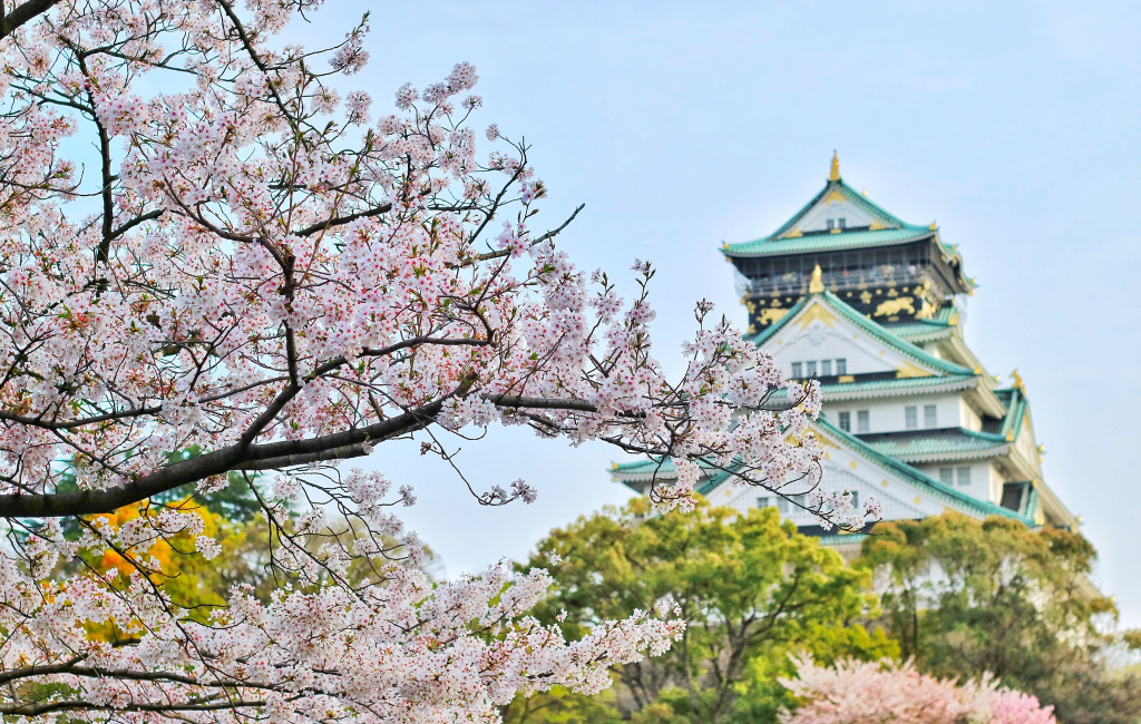 flower-China-house