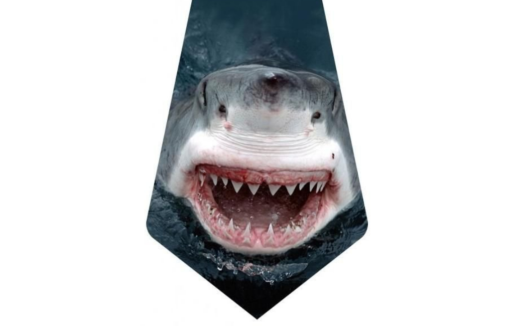 shark tie