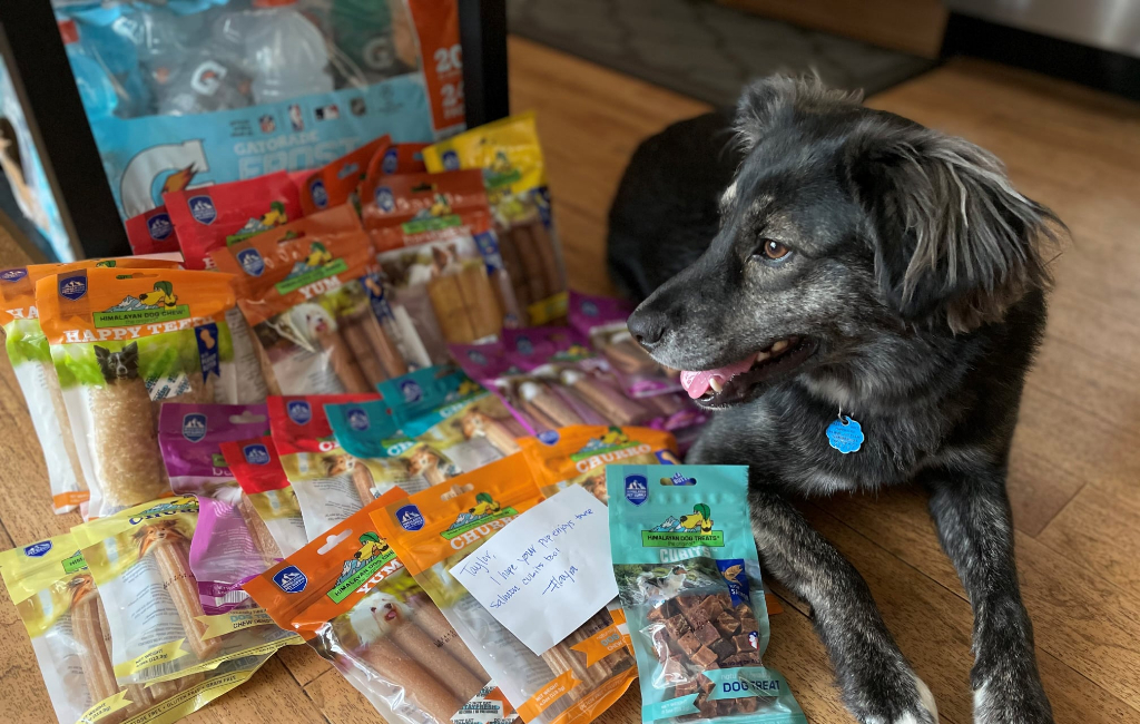 dog with his snacks