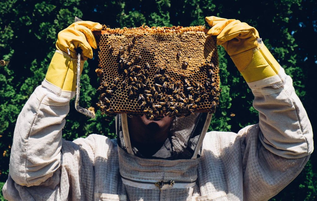 woman in beekeeping equipment