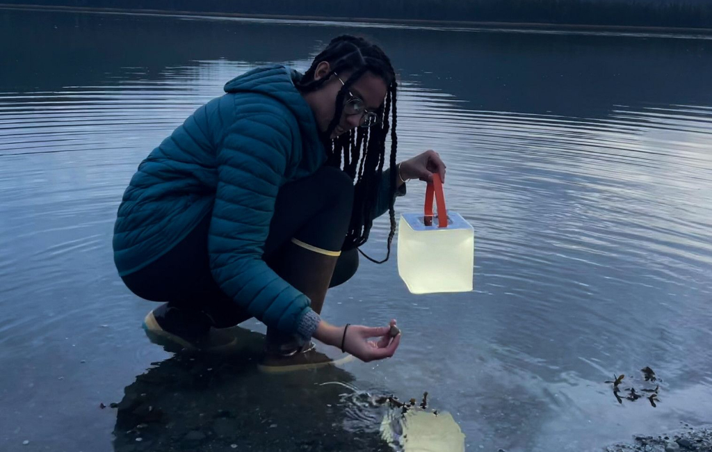 finding stone in the river