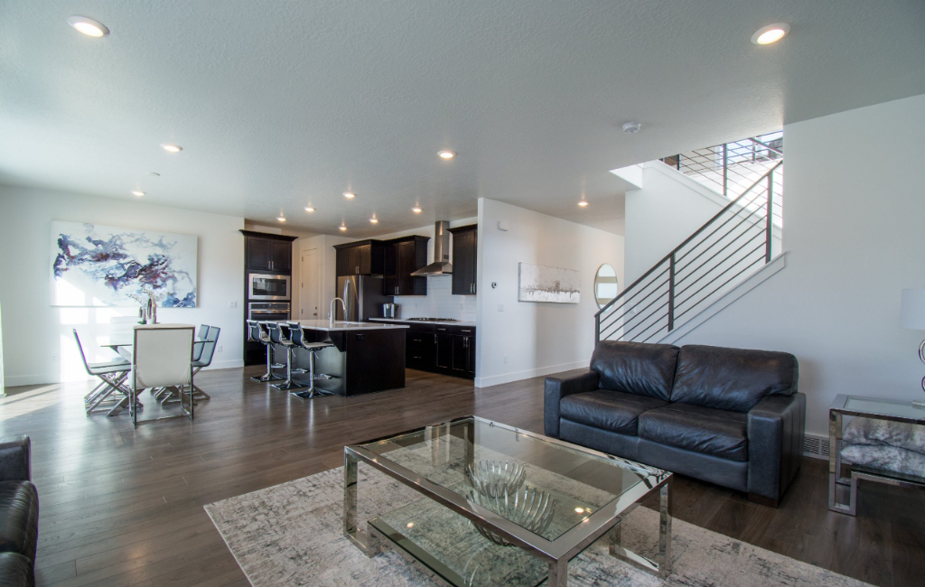 living room and kitchen interior