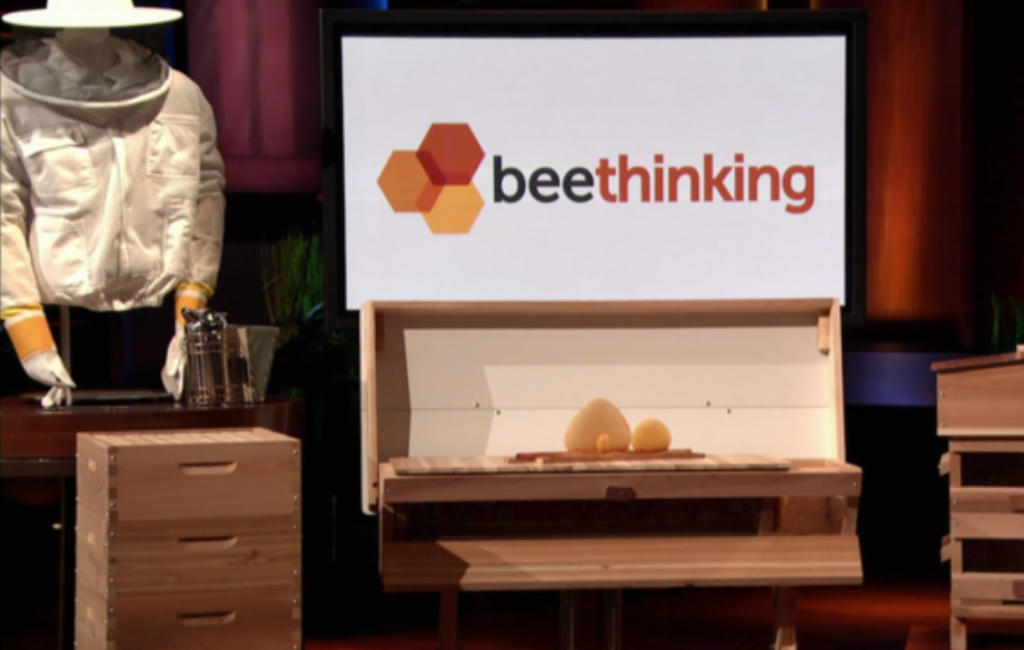 bee thinking shark tank