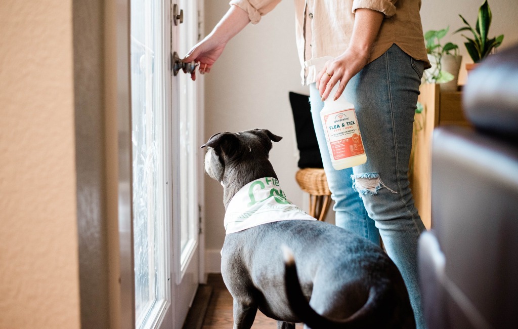 dog-using-wondercide-pest-control