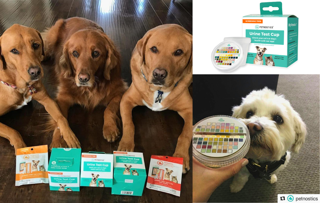 dogs-with-petnostics-pet-health-indicator