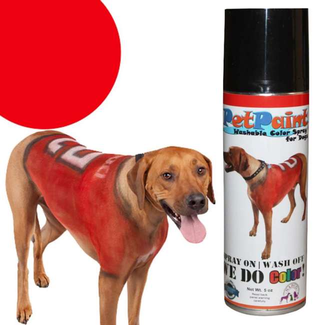 pet-paint-product