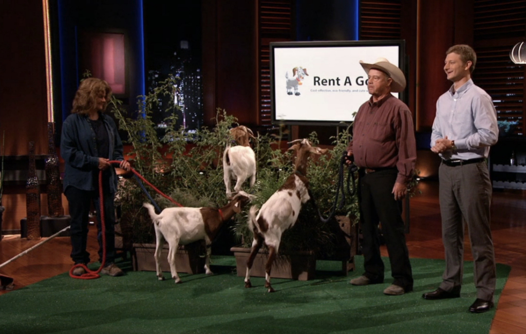 rent a goat shark tank