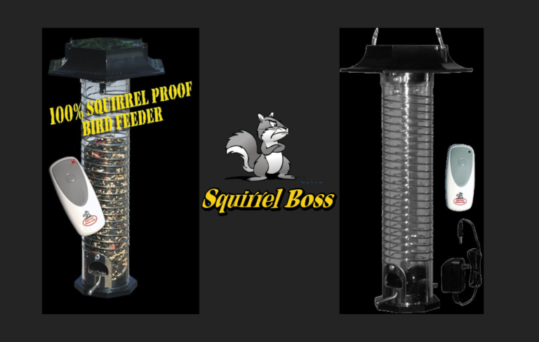 squirrel-boss-bird-feeder