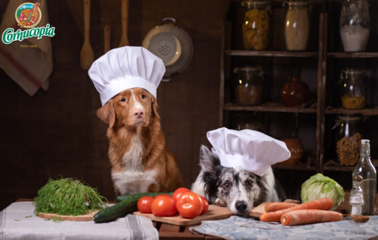 dogs-in-chef-caps