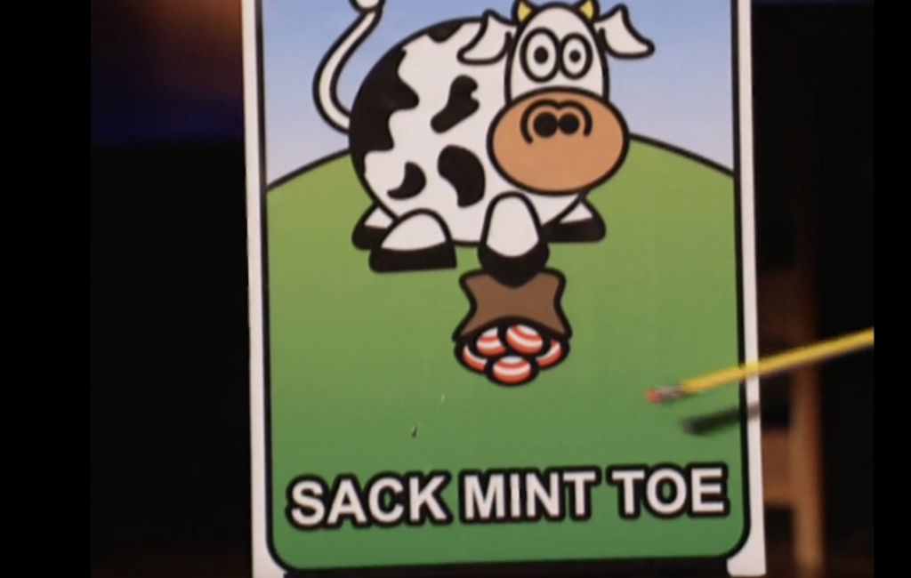 50-state-cow-card