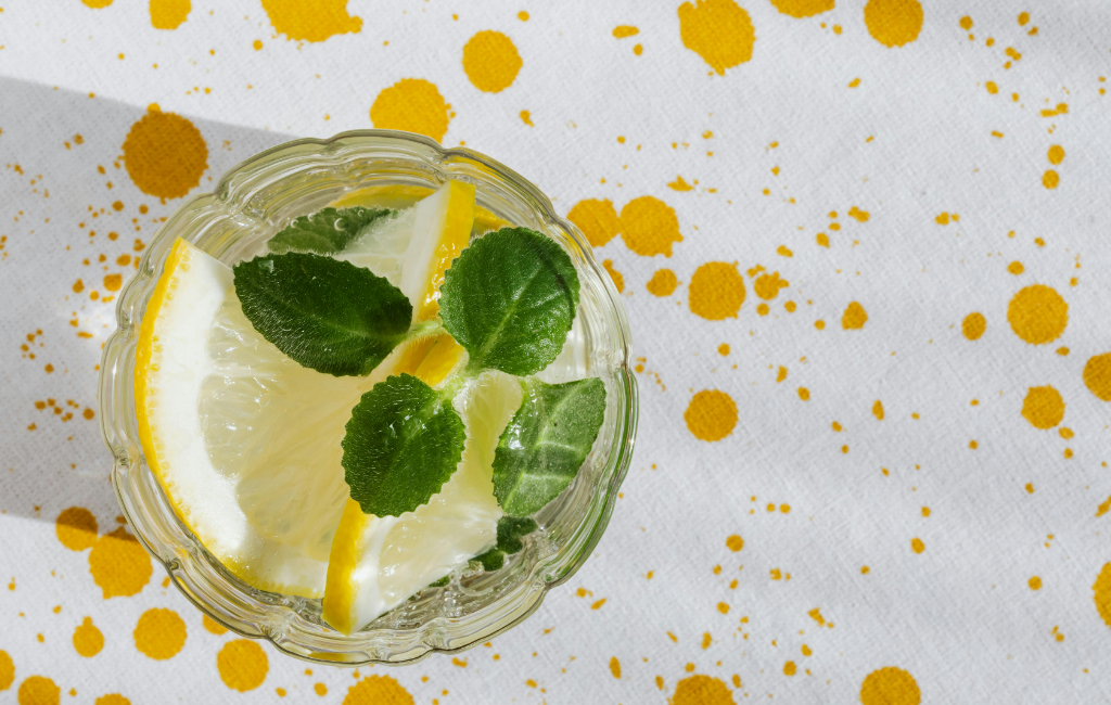 soda-with-mint-and-lemon